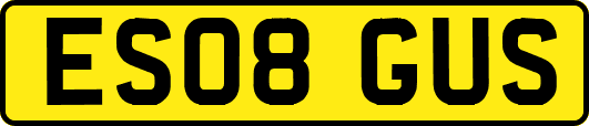 ES08GUS