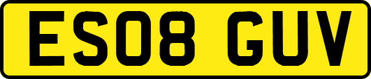 ES08GUV