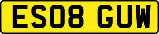 ES08GUW