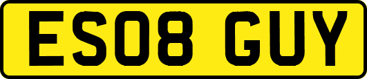 ES08GUY