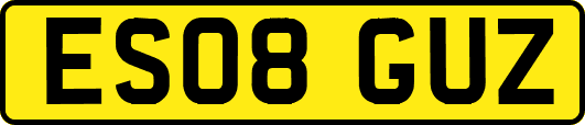 ES08GUZ