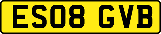 ES08GVB
