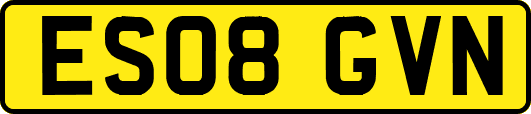 ES08GVN