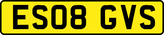 ES08GVS