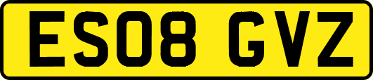 ES08GVZ