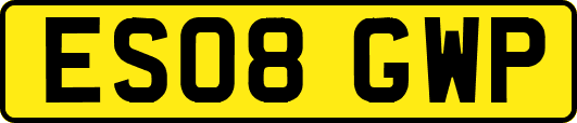 ES08GWP