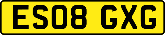ES08GXG