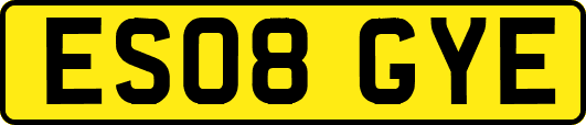 ES08GYE