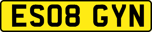 ES08GYN