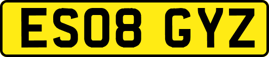 ES08GYZ