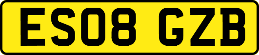 ES08GZB