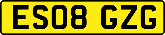 ES08GZG