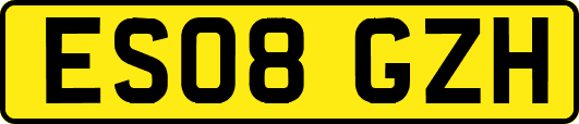 ES08GZH