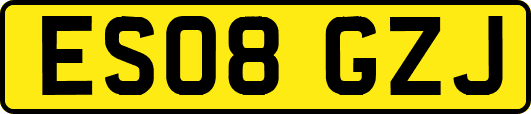 ES08GZJ