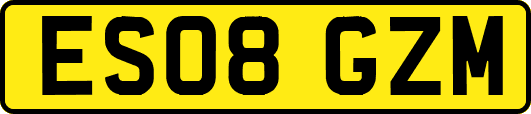 ES08GZM
