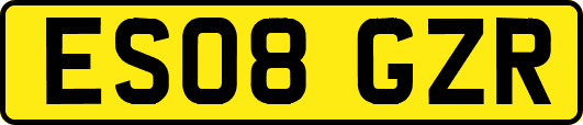 ES08GZR