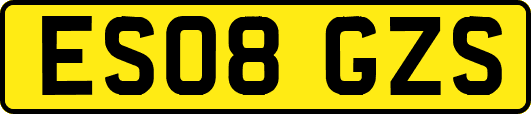 ES08GZS