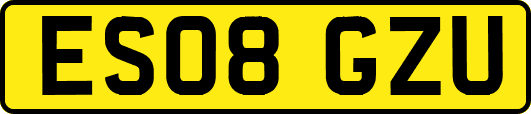 ES08GZU