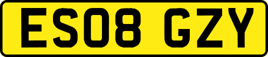 ES08GZY
