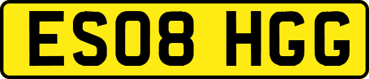ES08HGG
