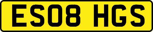 ES08HGS