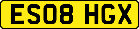 ES08HGX