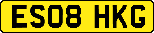 ES08HKG