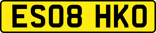 ES08HKO
