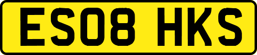 ES08HKS