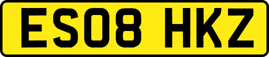 ES08HKZ
