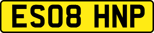 ES08HNP
