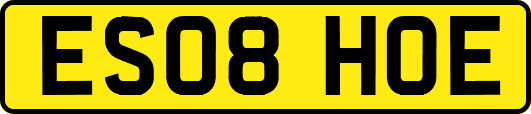 ES08HOE