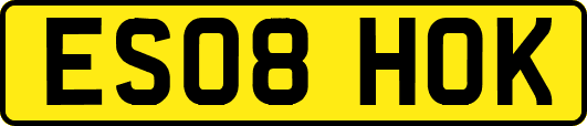 ES08HOK