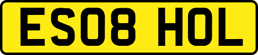 ES08HOL