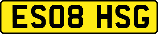 ES08HSG