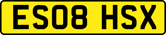 ES08HSX