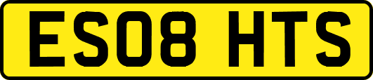 ES08HTS