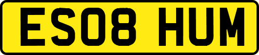 ES08HUM