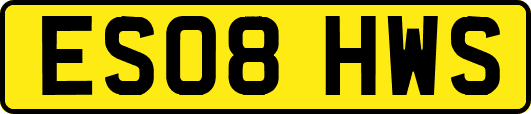 ES08HWS
