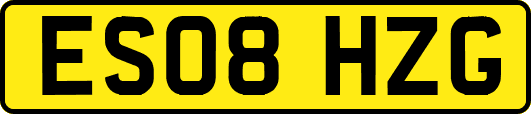 ES08HZG