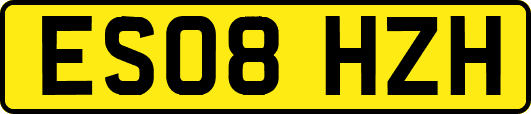 ES08HZH