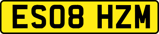 ES08HZM