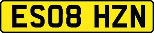ES08HZN