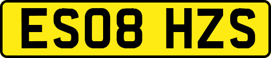ES08HZS