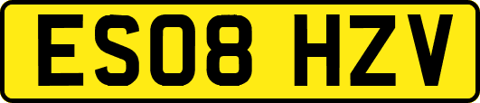 ES08HZV