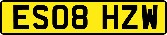 ES08HZW