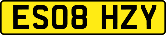 ES08HZY