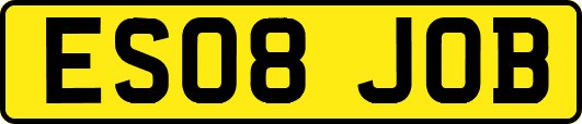 ES08JOB