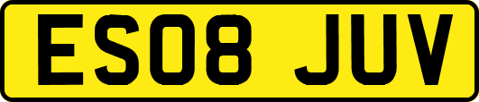 ES08JUV