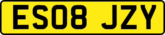 ES08JZY